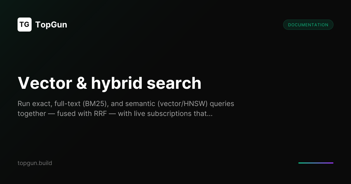 Vector & hybrid search | TopGun Docs